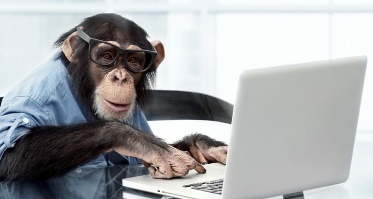 Apina tietokoneella