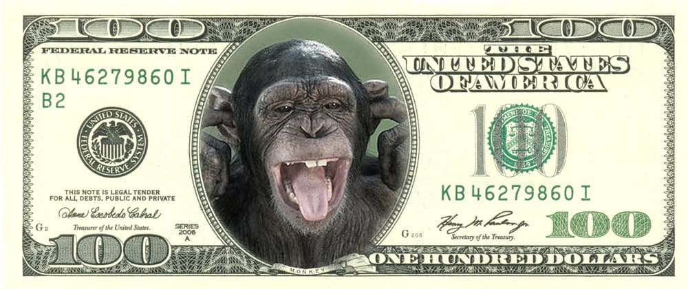 money monkey отзывы