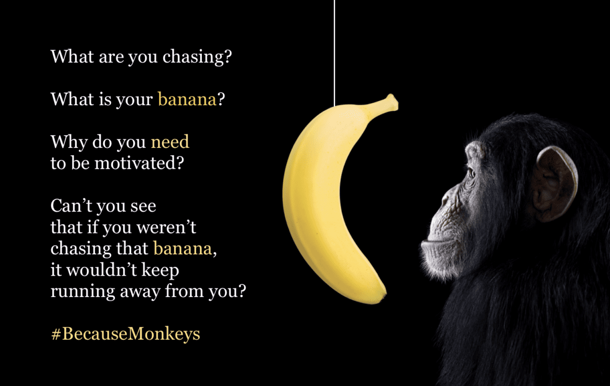 What are you chasing?  What is your banana?  Why do you need  to be motivated?  Can’t you see that if you weren’t chasing that banana, it wouldn’t keep running away from you?