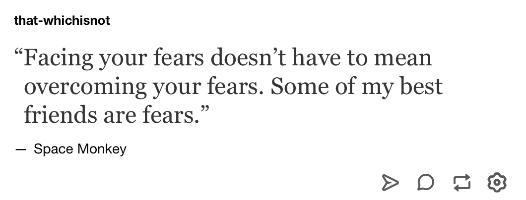 Facing your fears doesn’t have to mean overcoming your fears. Some of my best friends are fears.