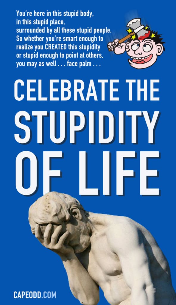 Celebrate the stupidity of life.