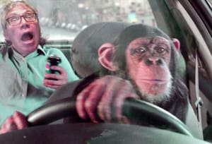 driving-space-monkey