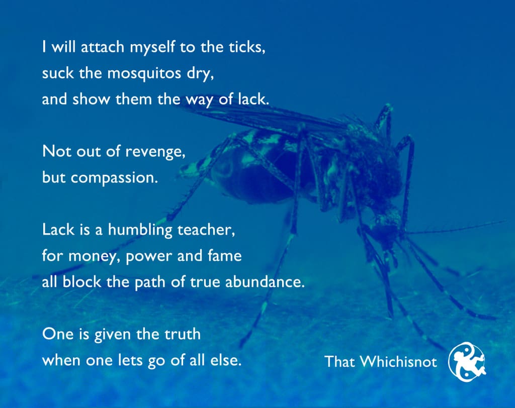 I will attach myself to the ticks, suck the mosquitos dry, and show them the way of lack. Not out of revenge, but compassion. Lack is a humbling teacher, for money, power and fame all block the path of true abundance. One is given the truth when one lets go of all else. 