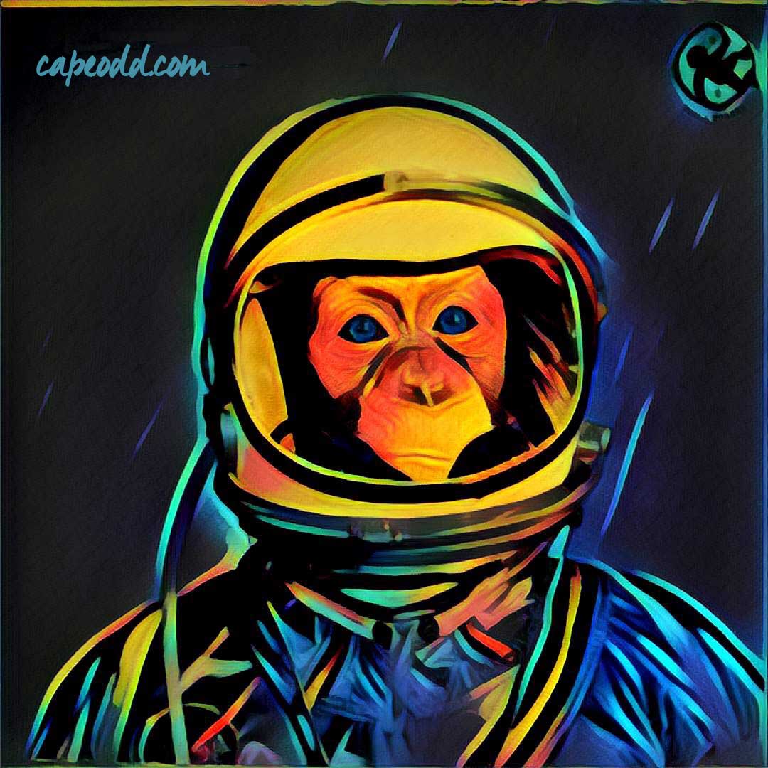 Space monkey. Спейс манки. Обезьяна в шлеме. Space Monkey Одноразка. Space Monkey ашка.